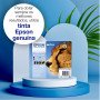 Epson Singlepack Yellow T0714 DURABrite Ultra InkC13T07144022EpsonTinteiros Originais EpsonChip Ink | Informática | Tinteiros e Toners | Gaming