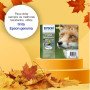Epson Fox T1281 Conjunto individual preto DURABrite Ultra RaposaC13T12814012EpsonTinteiros Originais EpsonChip Ink | Informática | Tinteiros e Toners | Gaming