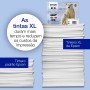 Epson Polar bear 26 Conjunto individual preto Claria Premium Urso polarC13T26014012EpsonTinteiros Originais EpsonChip Ink | Informática | Tinteiros e Toners | Gaming